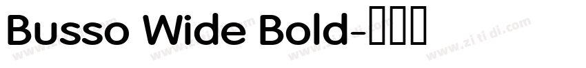 Busso Wide Bold字体转换